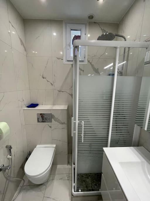 Paris Centre Hopital Percy 2 Pieces Tres Lumineux Grand Apartment